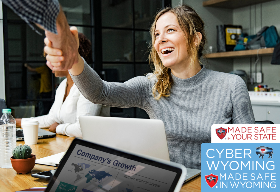 General Graphic of the Made Safe Cyber Training Program